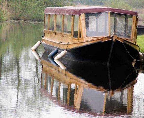 3894